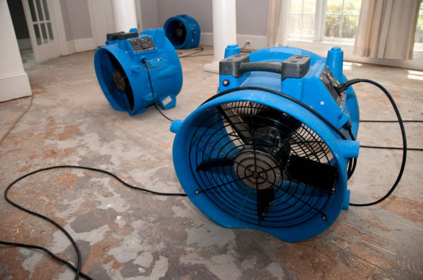 Best Residential water damage restoration  in Telluride, CO