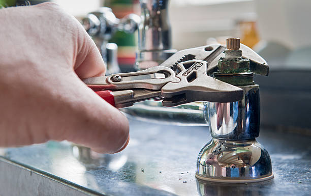 Best Mold removal after water damage  in Telluride, CO