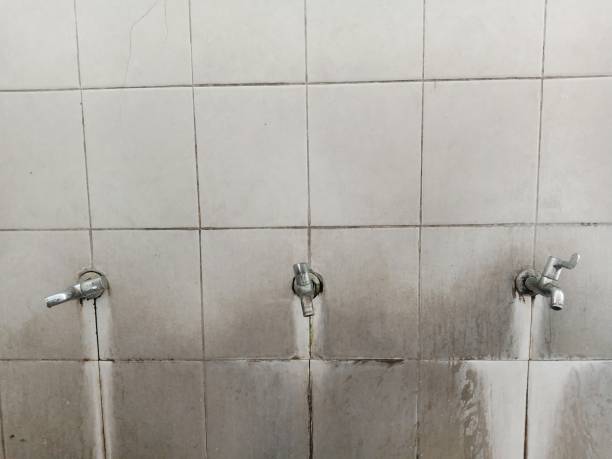 Best Fire Damage Restoration  in Telluride, CO