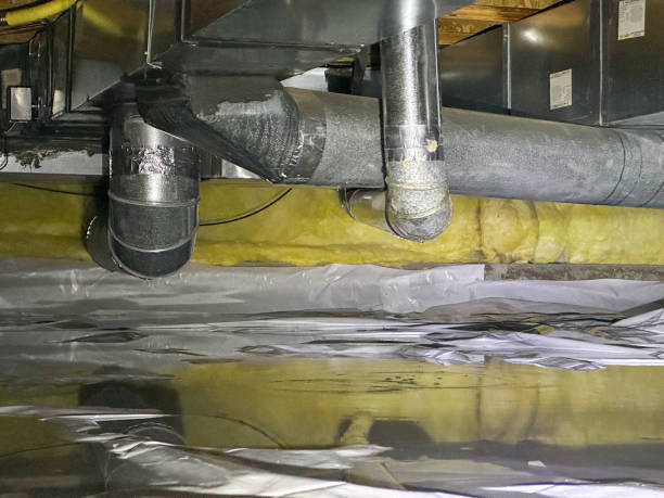Best Flood damage cleanup  in Telluride, CO