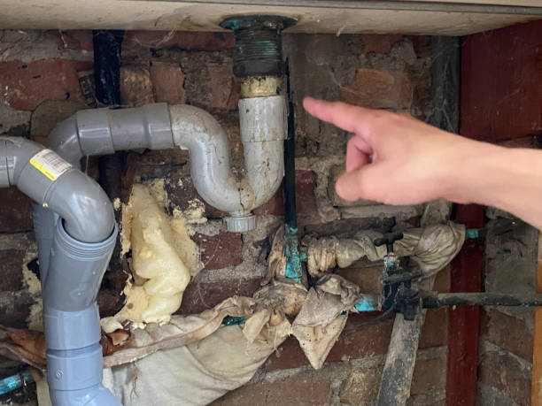 Best Emergency water damage restoration  in Telluride, CO