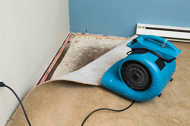  Telluride, CO Water damage restoration Pros